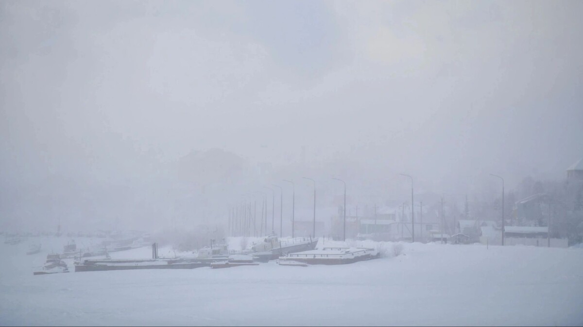    Фото: Андрей Ткачев/«Ямал-Медиа»