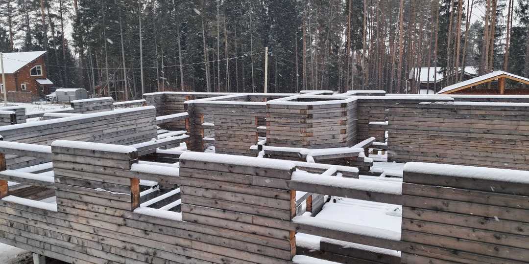 Пьяный лес: почему наши предки никогда не строили дома из летней древесины