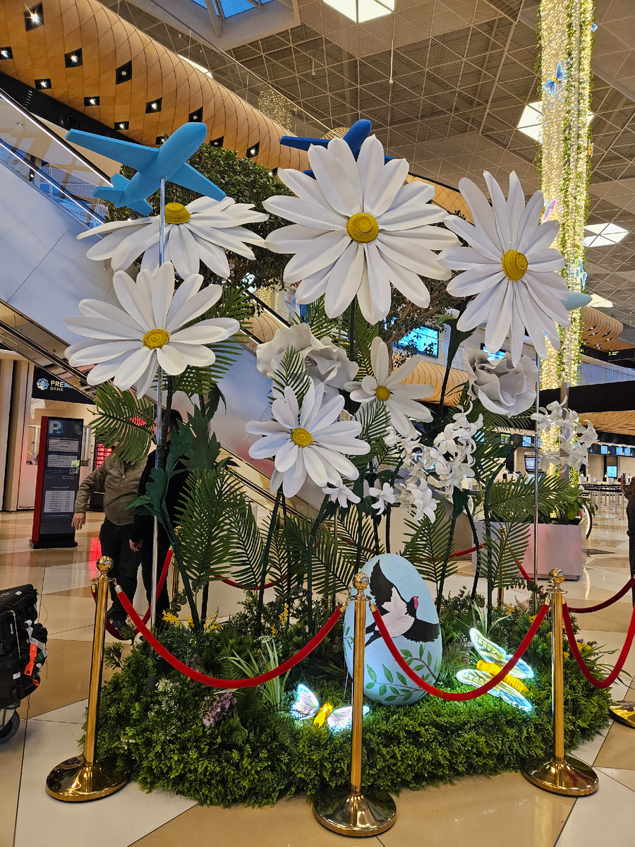 В аэропорту весело.