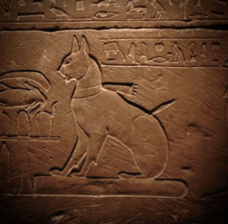 Древнее изображение кошки с ошейником