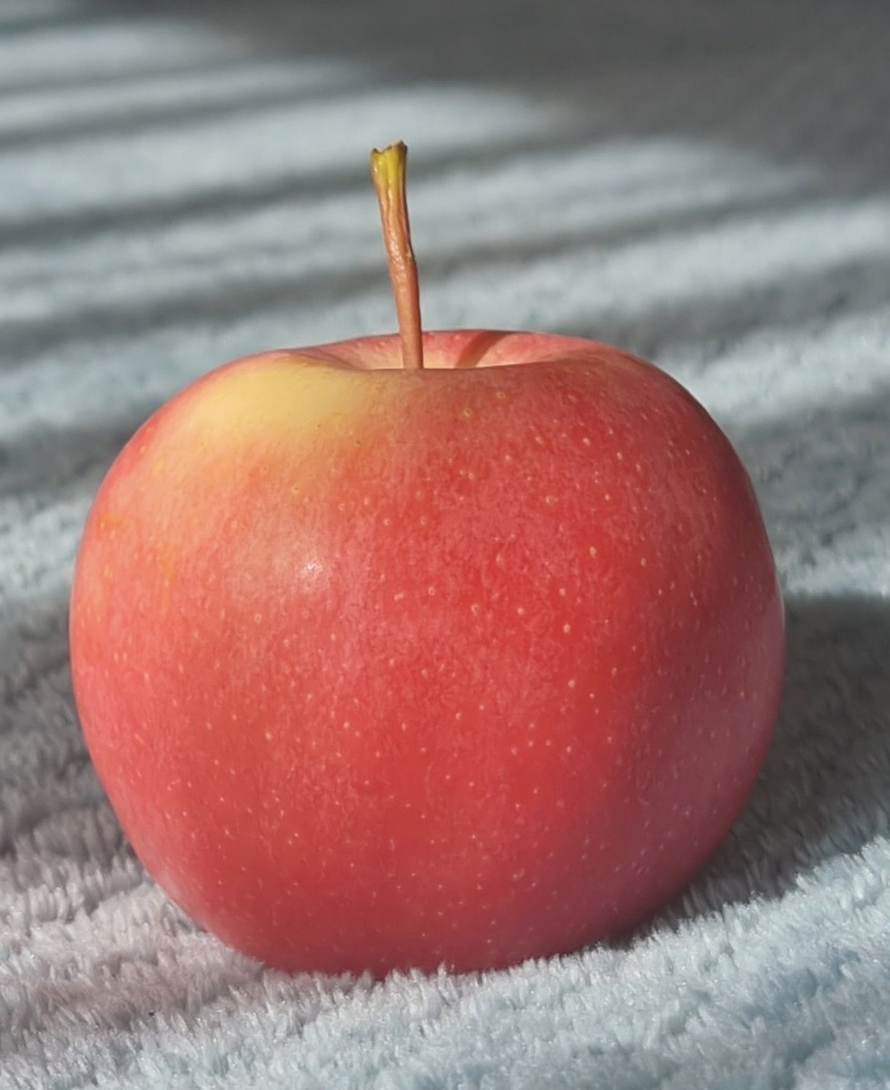 Кожура яблока богата нерастворимой клетчаткой