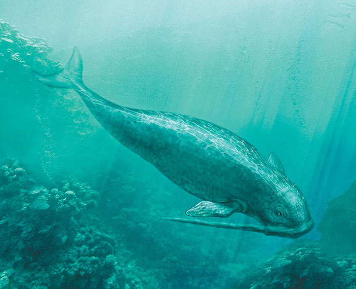 Одобеноцетопс - странный дельфин того времени.