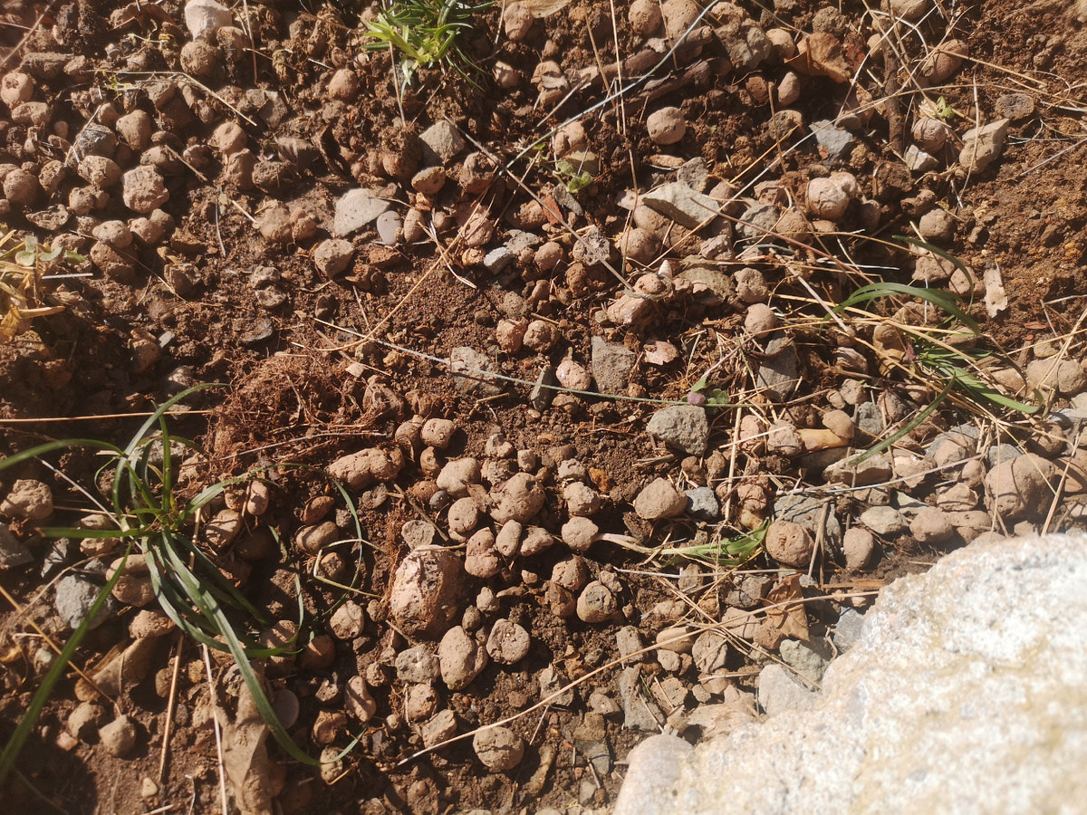 Его, конечно, видно пока плохо, но разрастается.