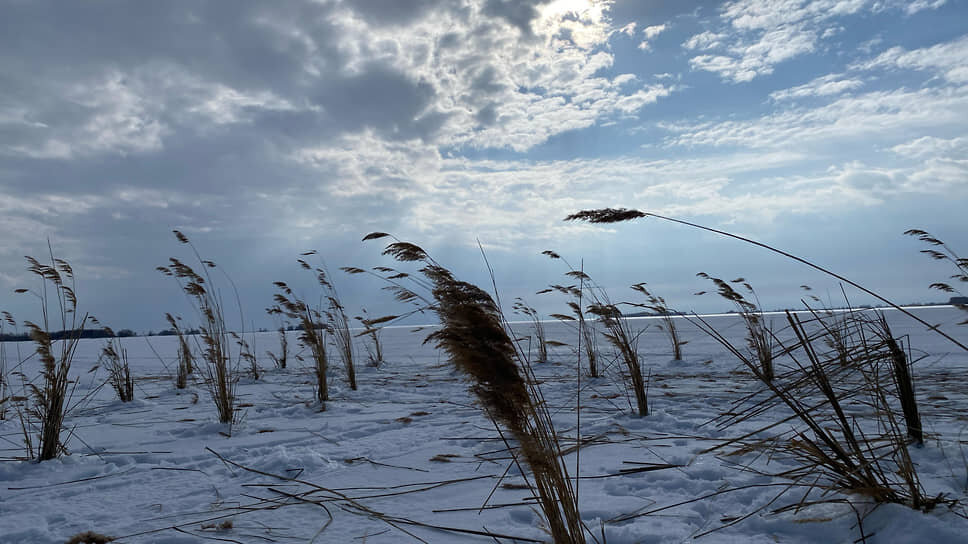 В Татарстане пробурили 1 тысячу лунок для улучшения условий жизни рыбы.📷Фото: Госкомитет Татарстана по биологическим ресурсам