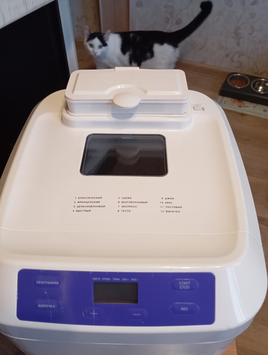 Кот запрещает делать фото техники без кота.