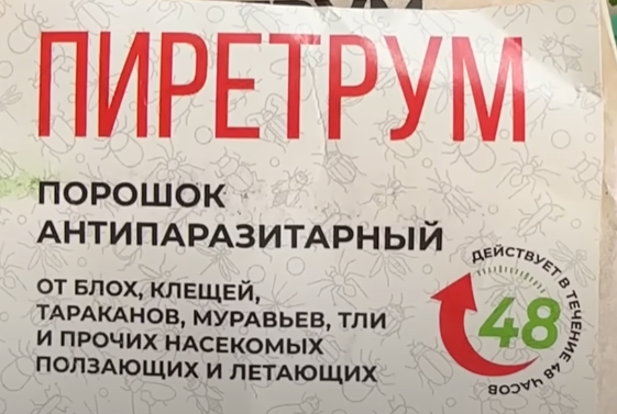 Дача. Сад. Цветы