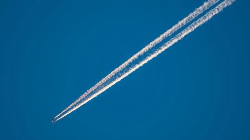    Фото: FCG/Shutterstock/Fotodom