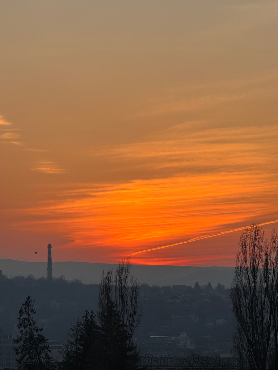 Закат над городом, вчера, 9 марта 2025, фото Сад в стиле Paradise @