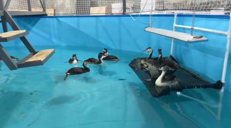    Фото: пресс-служба администрации Краснодарского края