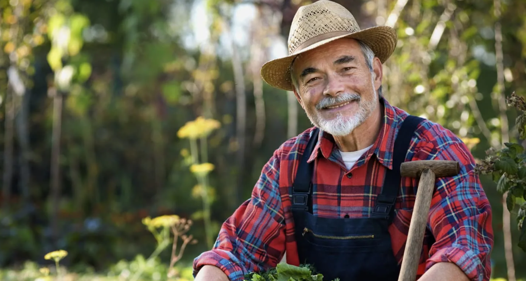 Яндекс картинки