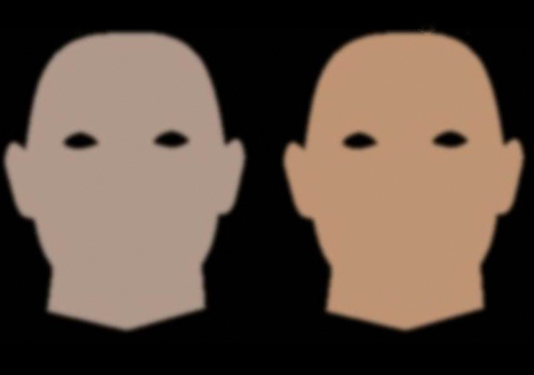 Источник изображения: School of Psychology and Neuroscience, Faculty of Science, University of St Andrews, St Andrews, United Kingdom