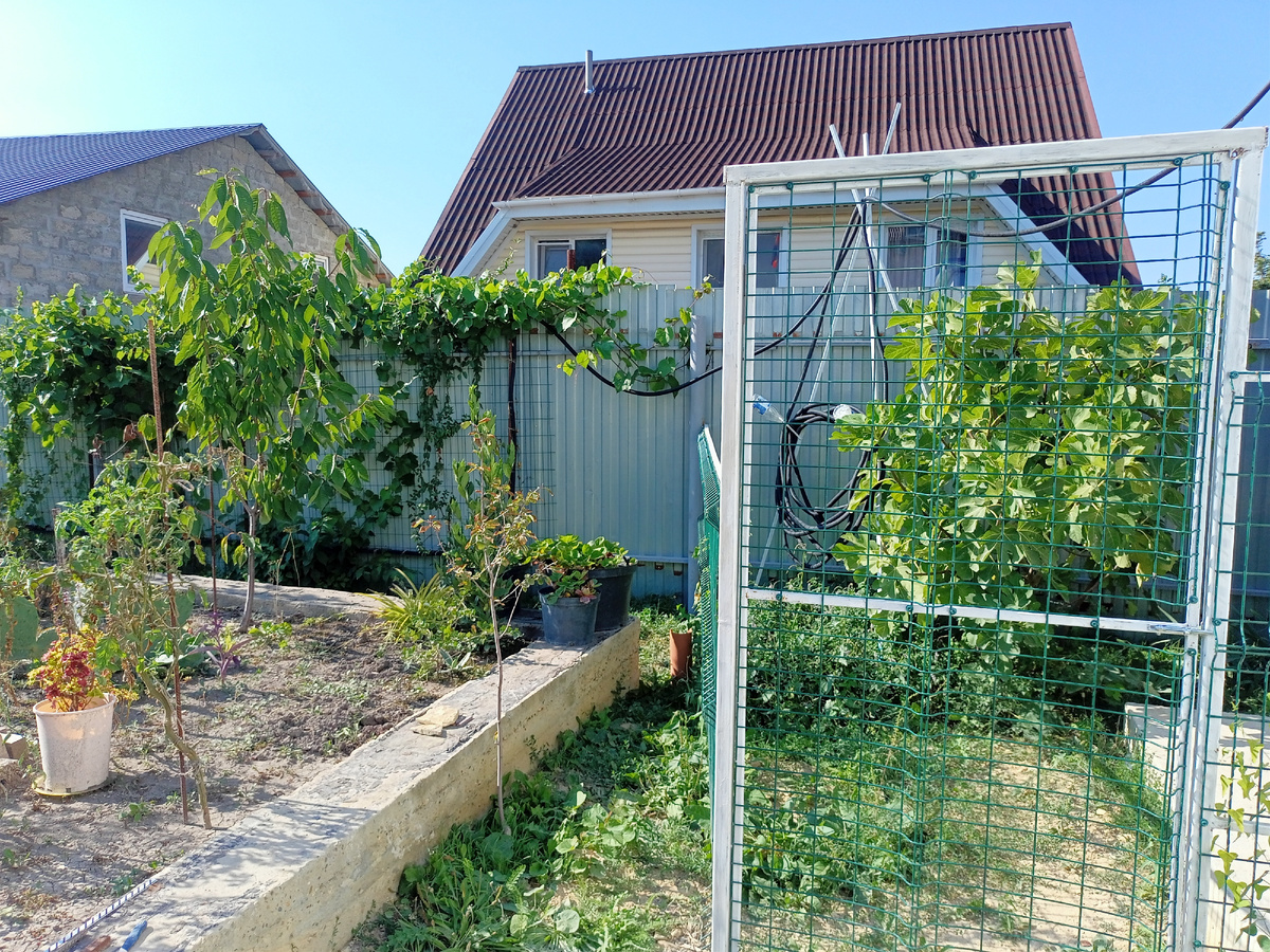 Вот слева фундамент-грядка