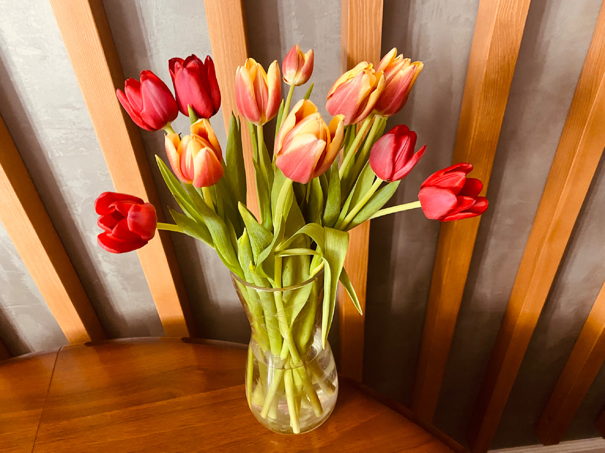 С Праздником! Лучших ? Разных … на свете женщины. 