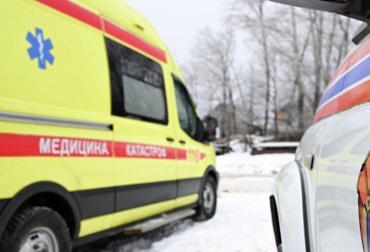     / Источник: © Максим Богодвид/РИА Новости