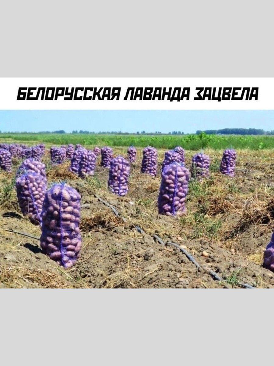 -14
