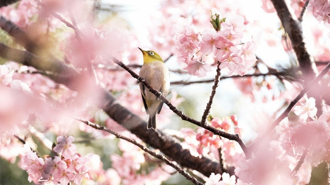 Источник: https://unsplash.com