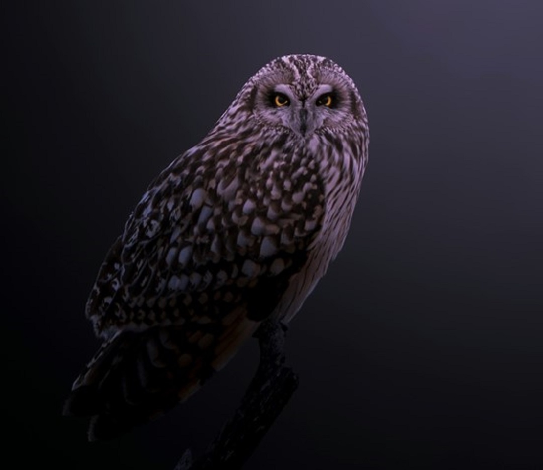 Источник: https://unsplash.com