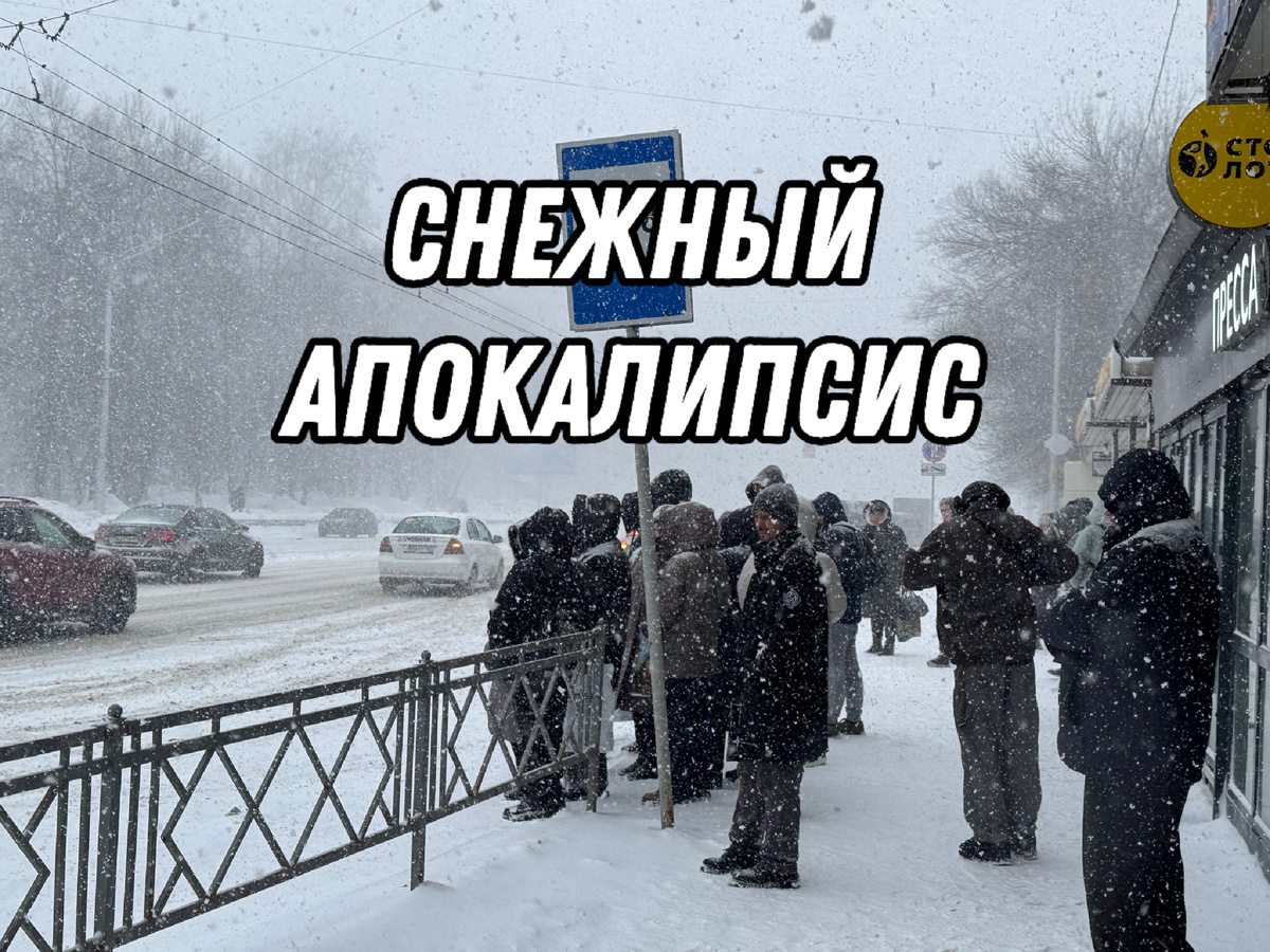 Обложка остановка «Галле»