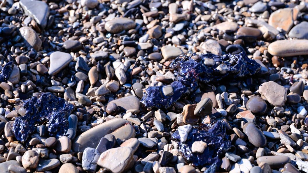    Roman Naumov/URA.RU/Globallookpress