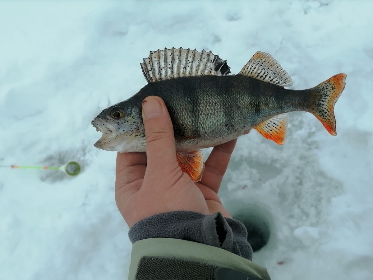 Фото: Александр Шаловинский / ВКонтакте
