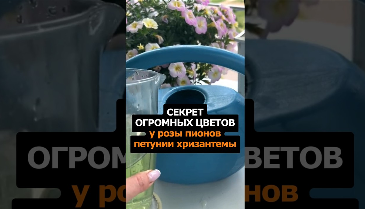 Дача. Сад. Цветы