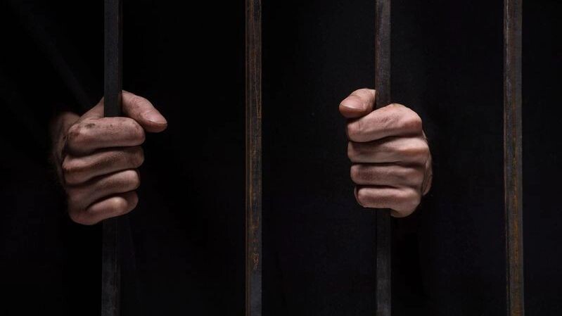    Фото: BlueSkyImage/Shutterstock/Fotodom