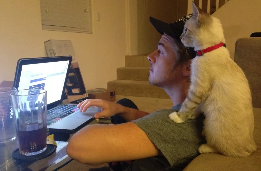 Яндекс картинки