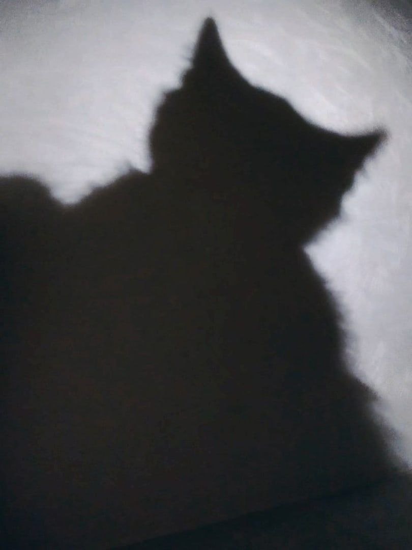 Личное фото автора канала