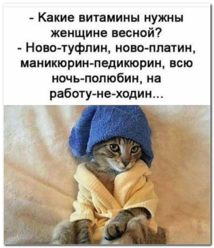 Фото из открытого источника 