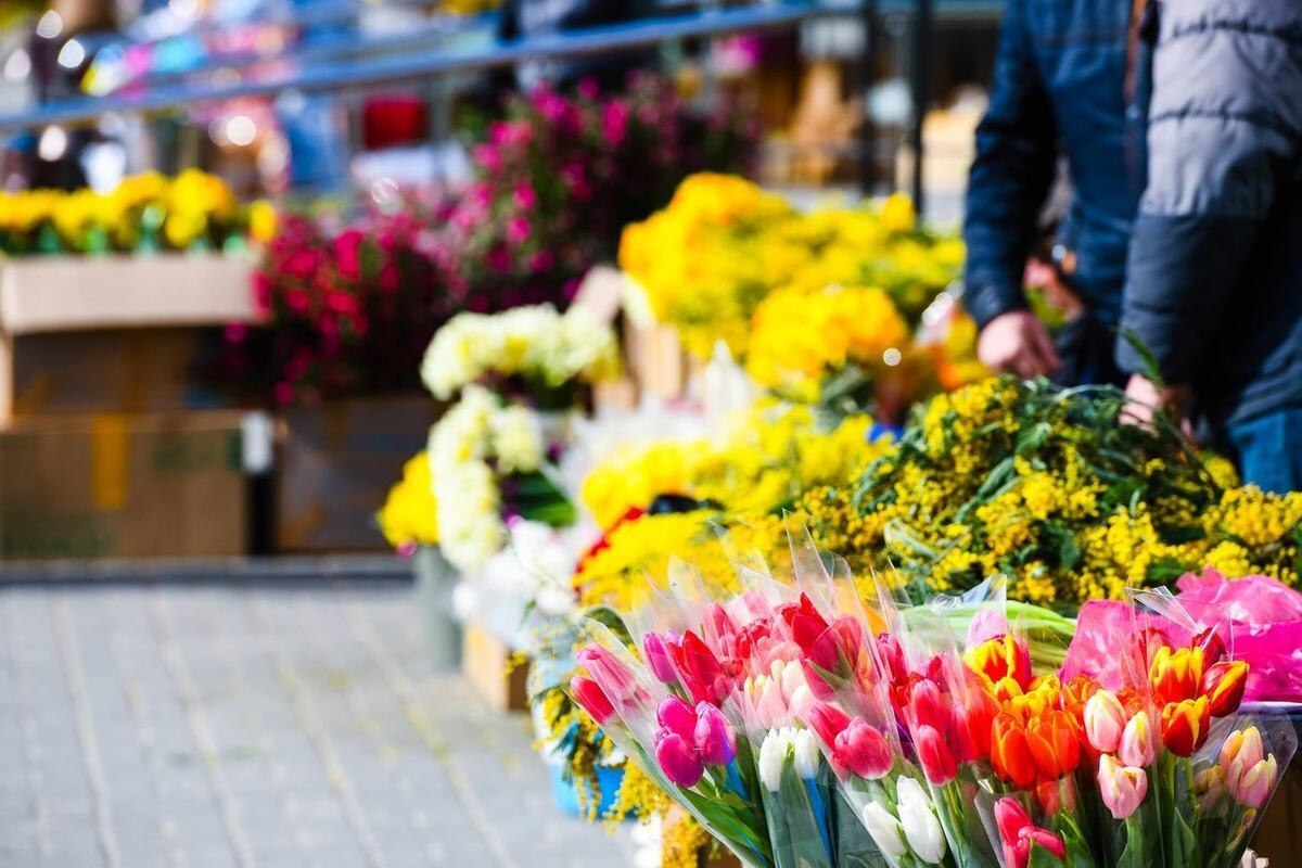 фото из открытых источников