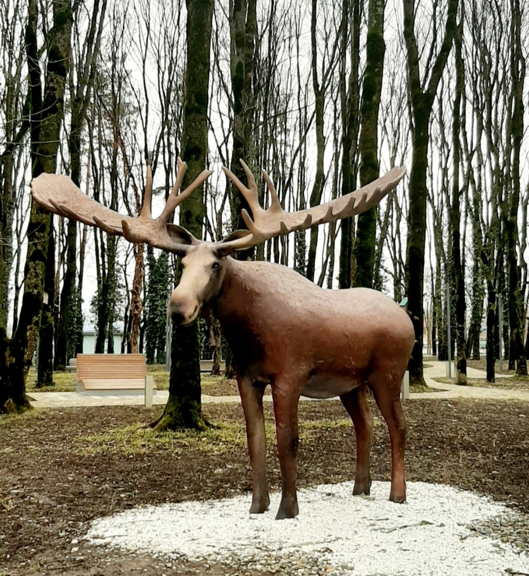 Парковые скульптуры такого типа в парке нашего южного городка. Все фото автора.