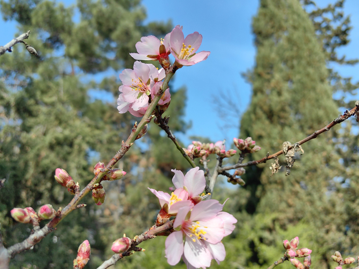 Сегодня. Фото автора канала