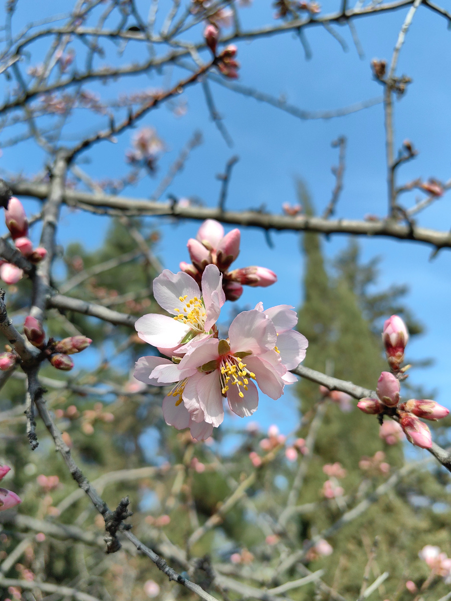 Сегодня. Фото автора канала