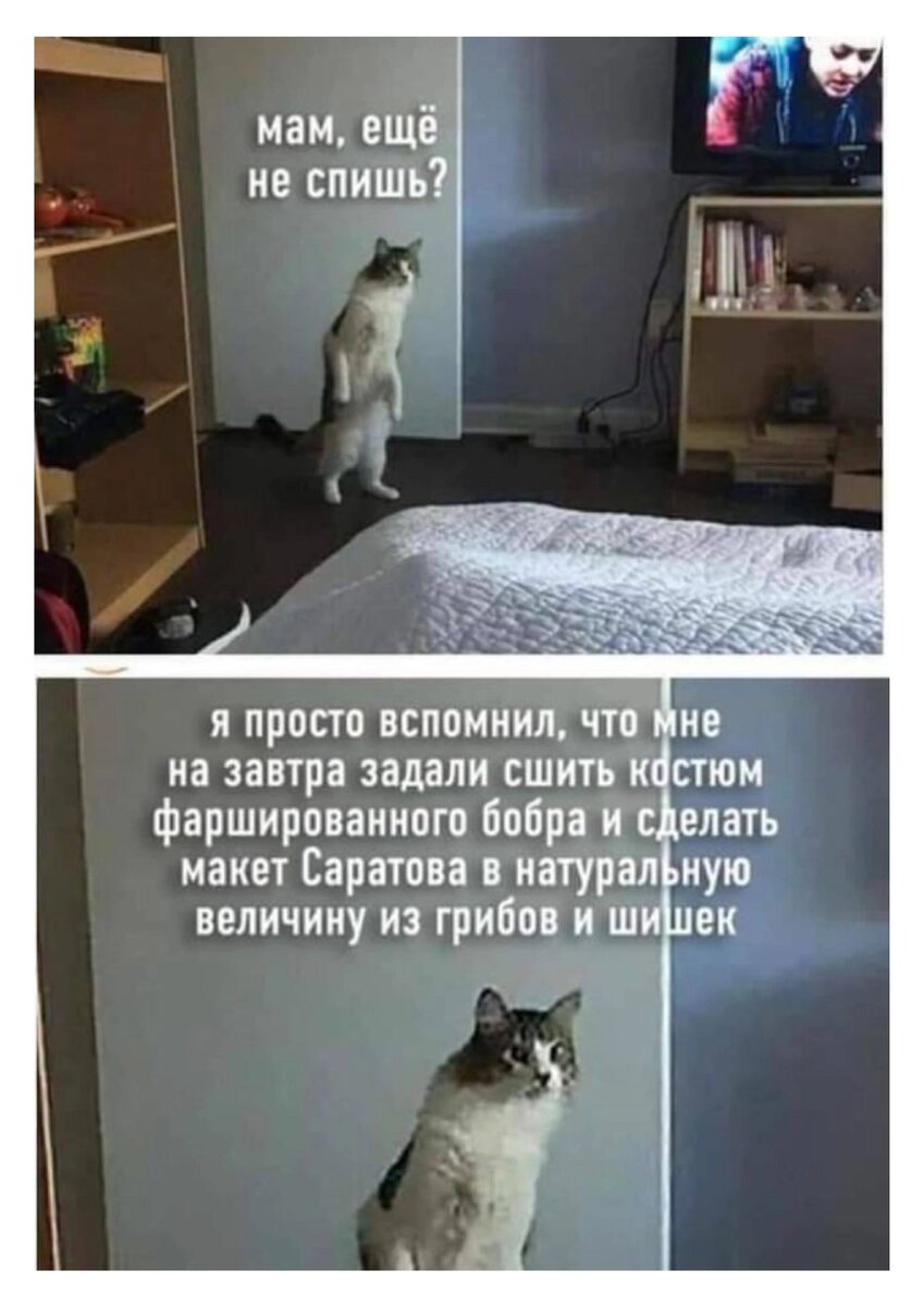 Домашнее задание закрепляет пройденный материал, но мотивация детей - это подвиг! 