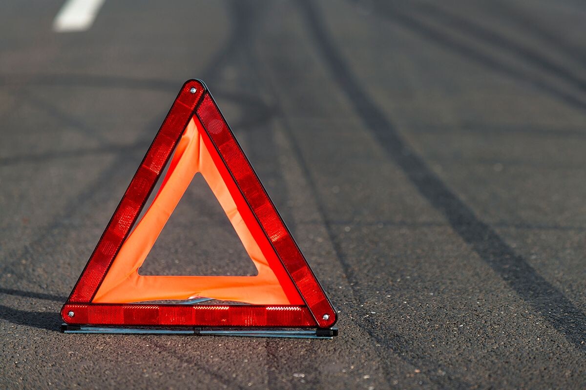    Фото: SvedOliver / Shutterstock.com