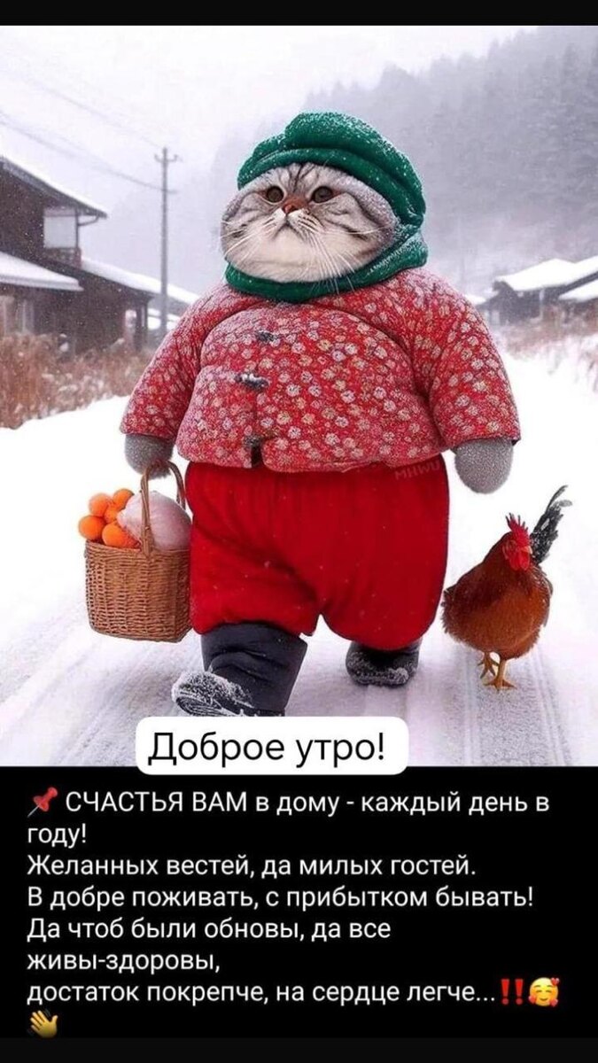 Фото из сети Интернет