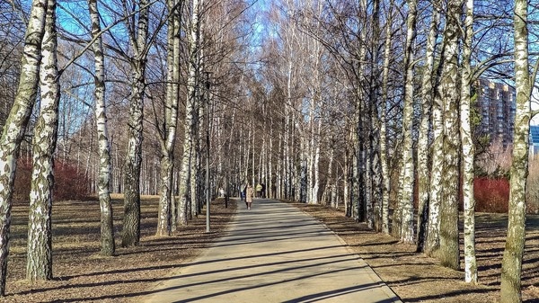 Свежий воздух, солнечный день и прозрачный парк уносят тебя вдаль от  обычных и привычных дел, погружая тебя в свой мир с совершенно иным  ходом времени ... С Воскресением Вас!   

Весна в парке 50-летия октября ...   

  