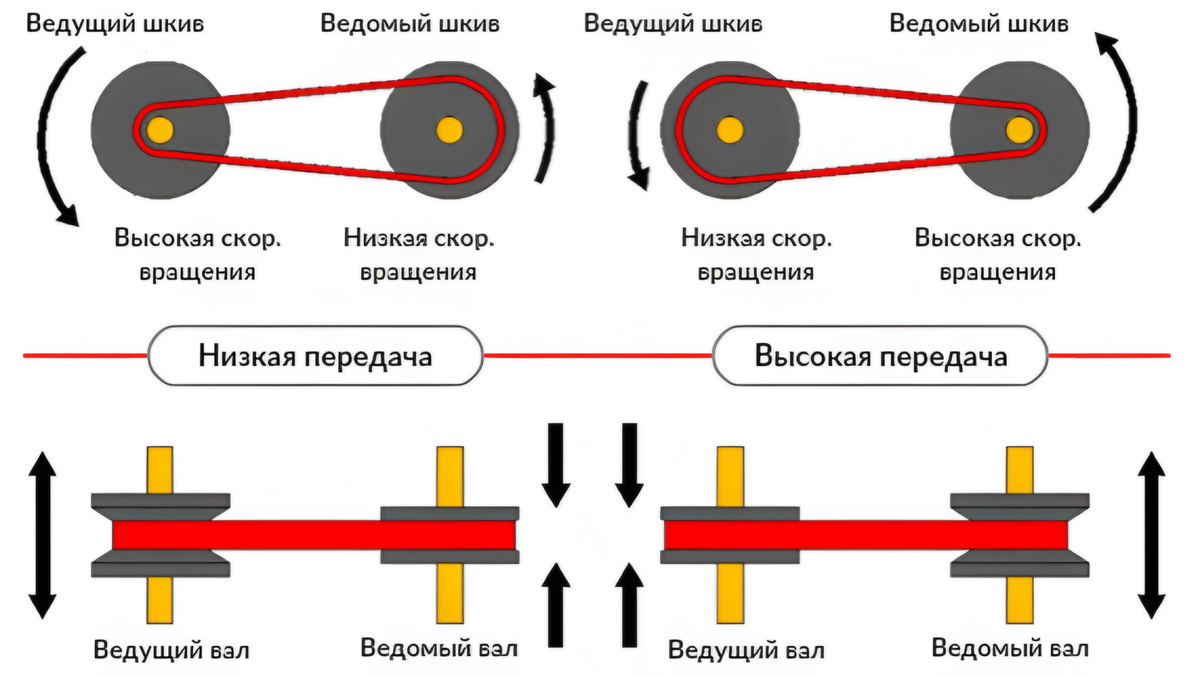 Функции и устройство щек