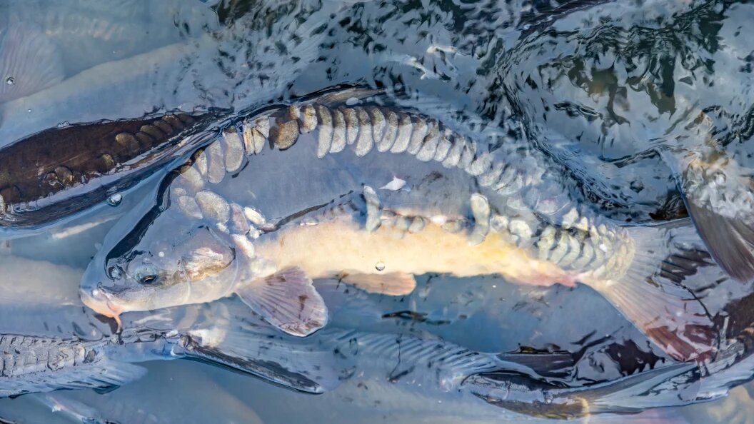    Frank Hammerschmidt/Globallookpress