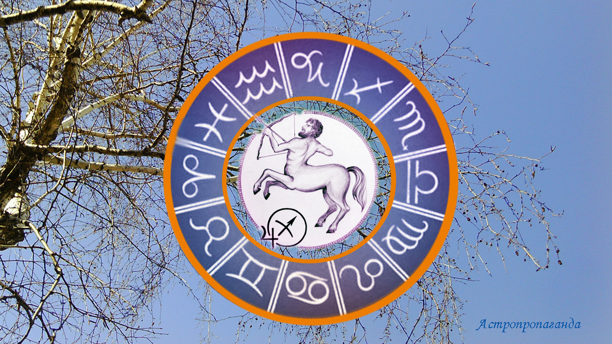 Гороскоп для Стрельца с 3 по 30 марта 2025. 