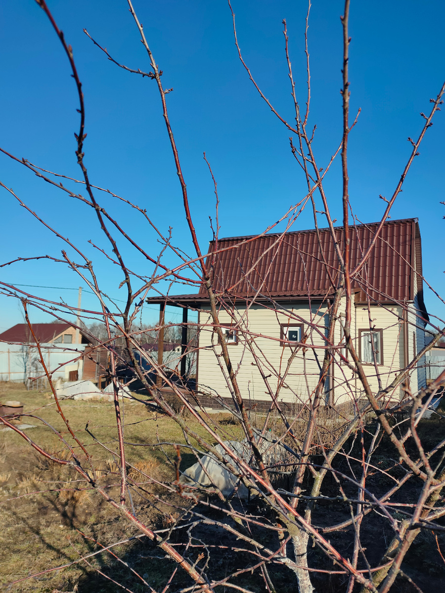 Наша дача. 8.03.25