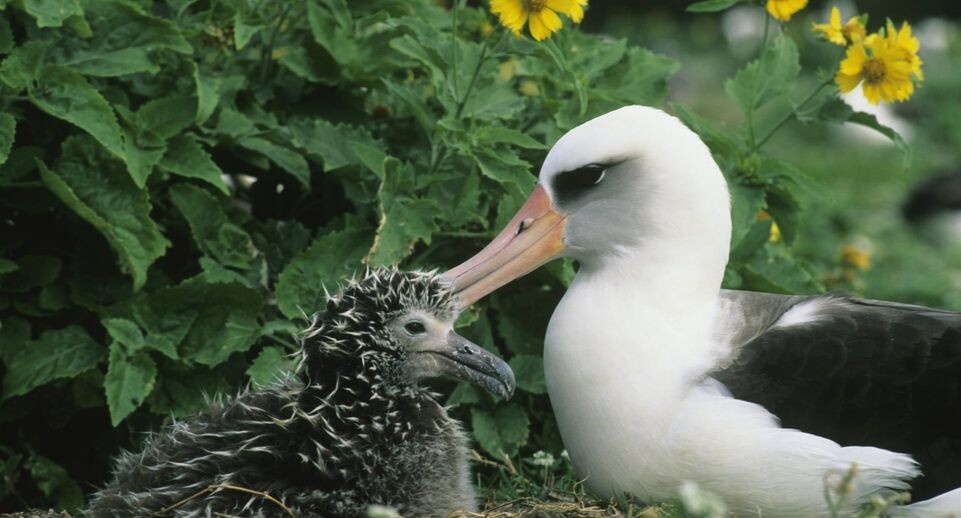    DanitaDelimont.com / www.globallookpress.com