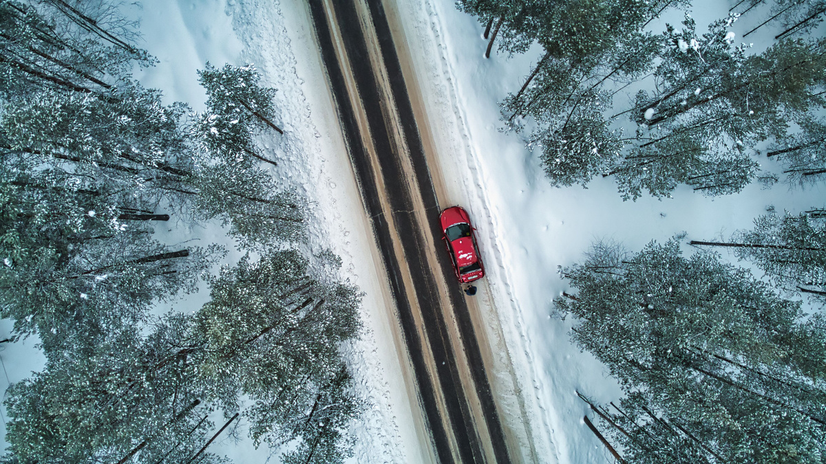 Фото для карточки. Фото автора.