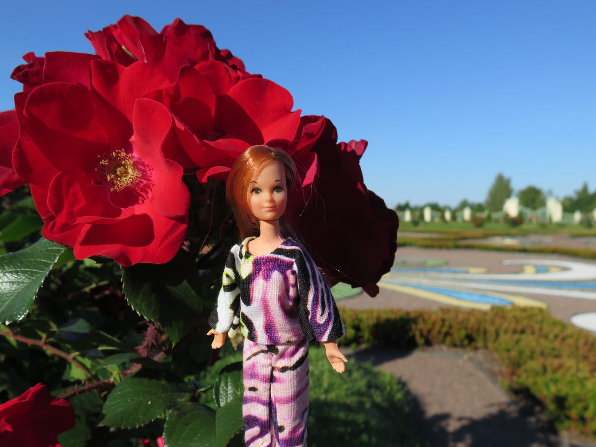 Barbie Rock Flower 1971-1974 - куклы из моей коллекции.