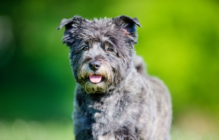    Shutterstock/FOTODOM