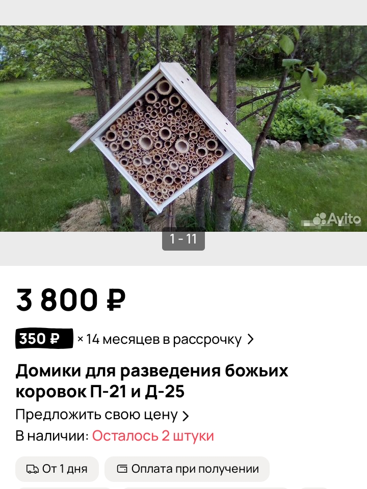 Скрин / avito.ru