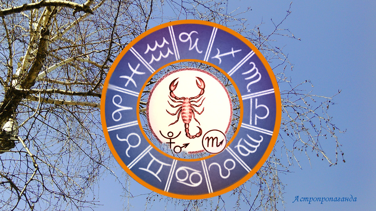 Гороскоп для Скорпиона с 3 по 30 марта 2025. 