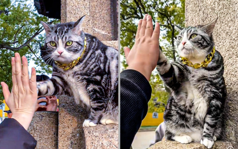 Выглядит в этой цепи он реально шикарно