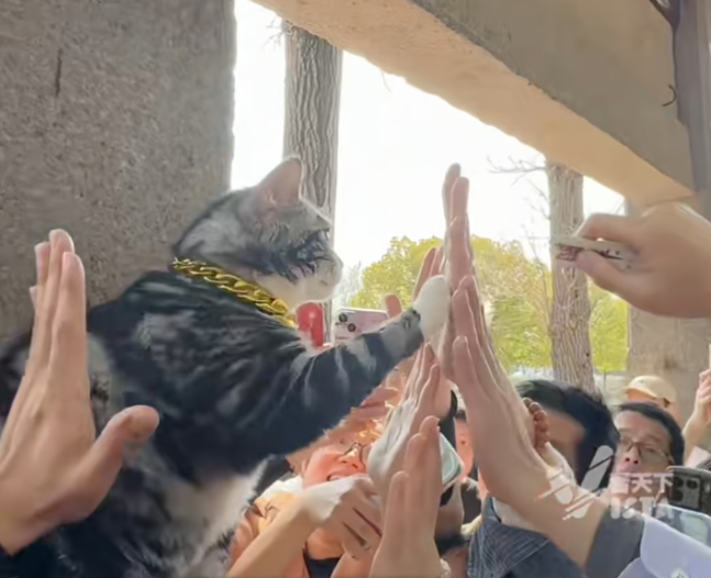 Как скоро начнутся драки за право дать пять?