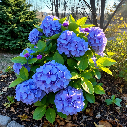 В марте пришло время уделить внимание своим растениям
